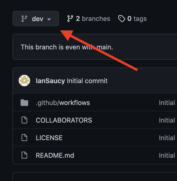 Verify you're on dev branch